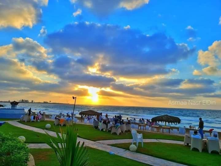 Maamoura 1 * Alexandria