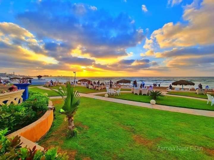 Maamoura 1 * Alexandria