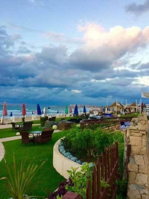 Maamoura 1